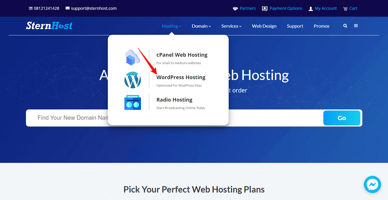 WordPress Hosting Image 1