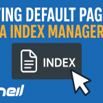 index manager