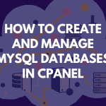 mysql database